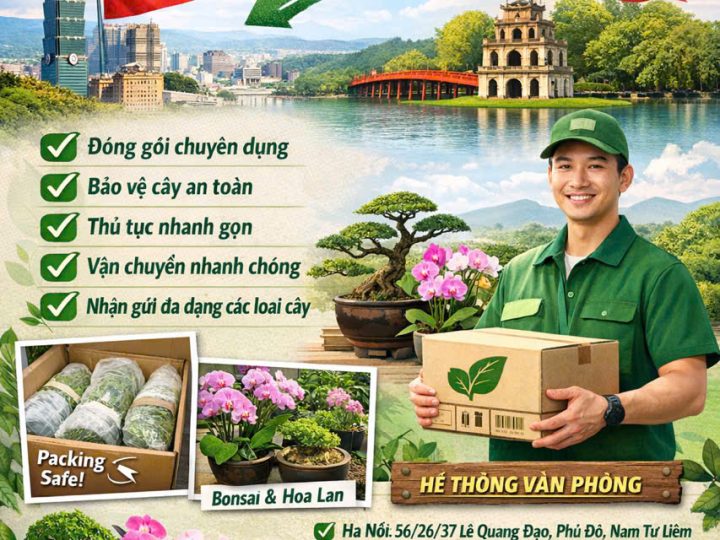 Gửi hàng Cây Đài Loan về Việt Nam